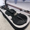 Unbranded 4/4 Full Size Black Violin with Case, Bow and