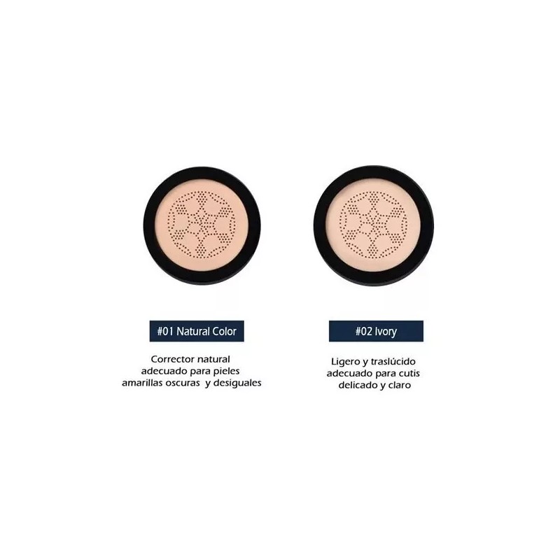 Moinsture Cushion Base Maquillaje Alta Cobertura Bb Cream Cubre Imperfección.