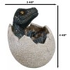 Jurassic Era Predator Velociraptor Hatchling Egg Dinosaur Figurine Collectible