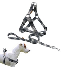 Aiminto Dog Halter Harness and Leash Set, Cute Floral Patterns, Soft and Adjustable Harness, Step in, Anti-Choke — Perfect for Walking (Harness Leash Set (Grey), S (Chest 13-22"))