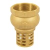 Foset PICHA-2 Pichancha with brass grid 2"