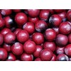 5 Pounds Black Cherry Gumballs Dubble Flavor Bubble Gum Balls Fresh