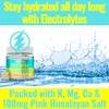 SHIZAM- Gomitas de Electrolitos BCAA Energía Mastica w Electrolitos Aminoácidos