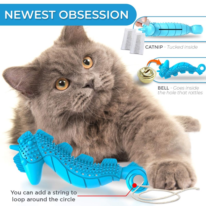 Ronton Cat Toothbrush Catnip Toy - Durable Hard Rubber -
