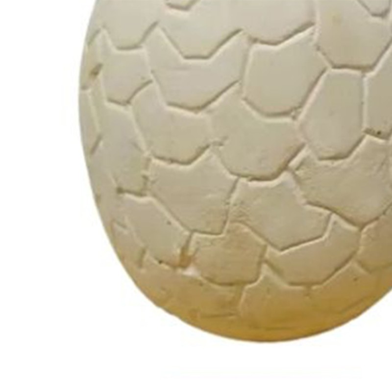 Dinosaur Egg Excavation Kit Jumbo Egg Unearth 14 Different Dinosaurs