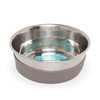 Messy Mutts Stainless Steel Heavy Gauge Bowl with Non-Slip Removable
