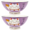 Fengshuibringluck 2PCS Cereal Bowls Soup Bowl Set 5.9'' Ramen Bowls