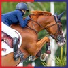 Equine America Buteless Original High Strength Powder | Premium Ready
