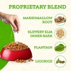 Animal Essentials Colon Rescue Powder - Herbal Digestive Aid for