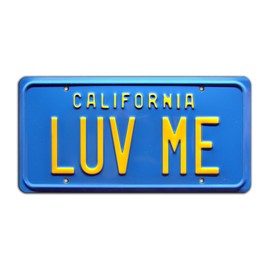 National Lampoon's Vacation | LUV ME | Metal Stamped License Plate