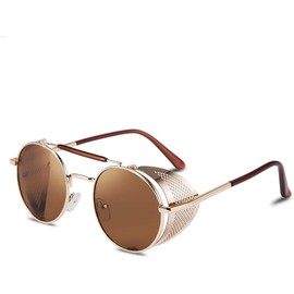 FEISEDY Steam Punk Sunglasses for Men Women Side Shield Round Steampunk Vintage Glasses Shades B2518 - Color: 06 Silver Grey, Lens Width: 49 Millimeters