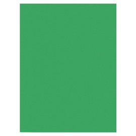 Prang (Formerly SunWorks) Papel de construcción, verde festivo, 9 x 12 pulgadas, 50 hojas
