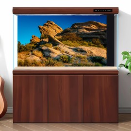 Reptile Terrarium Background Evening Light on Rocks Terrarium Background Reptile Tank Background Desert Rocky Bush Thorns Reptile Habitat Background Bearded Dragon Tank Aquarium Background 48x18in