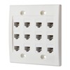 IBL - Cat6 Keystone Ethernet Wall Plate Female to Female