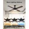 warmiplanet Ceiling Fan with Lights Remote Control, 52 Inch, Black