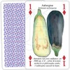 Heritage Playing Cards: Vegetable Garden Playing Cards