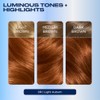 Clairol Nice 'n Easy Permanent Color, 6R/110 Natural Light Auburn