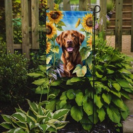 Caroline's Treasures DAC6050GF Chesapeake Bay Retriever in Sunflowers Garden Flag Mailbox Flag Decorative Yard Flag Banner Outside Patio Artwork Yard Flower Beds, Garden Size, Multicolor