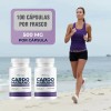 Cardo Mariano 500mg - 2 Frascos - 100 Cápsula Por