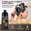 Kaisasa Shampoo Con Tinte Cubre Canas Con Aceite De Argn