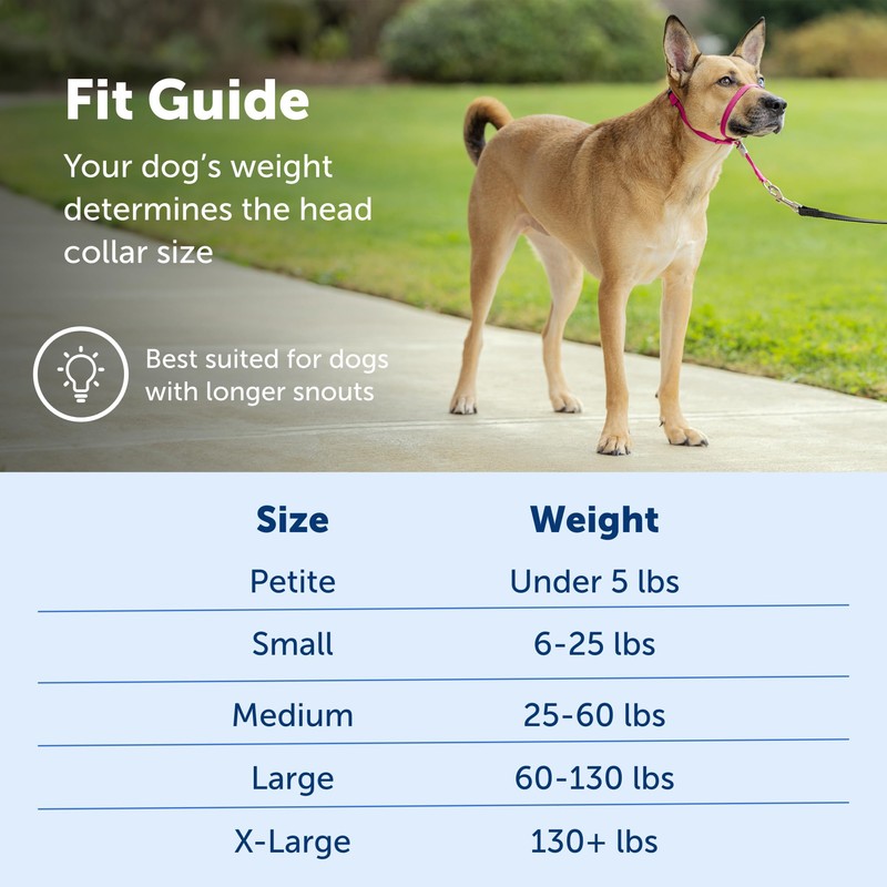 Radio Systems PRP-GLQHCMSI Gentle Leader Quick Release Headcollar, Medium, Silver