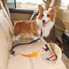 Dog Seat Belt for Car-2 in1 Dog Leash, Adjustable Wrist