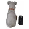 Adorable Grey Schnauzer Dog Sitting With Jingle Collar Greetings Sign
