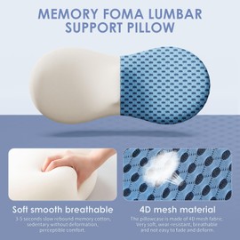 kasney Lumbar Support Pillow Ergonomic Memory Foam, Relieve Back Pain, CMFY Breathable & Detachable & Washable, Perfect for Office Chairs, Car Seats, Beds (Blue)
