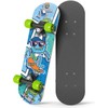 Rude Boyz 17" Micro Complete Skateboard | Maple Wood |
