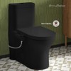 Swiss Madison Aqua Non-Electric Bidet Toilet Attachment in Matte Black