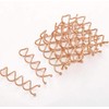 20 PCS Metal Spiral Hair Pins Fast Bun Twist Screws