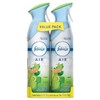 PGC97810 - AIR Gain Original