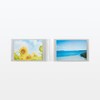 MUJI NCE39A3A Polypropylene High Transparency Film Album, 2L/2LW, 40 Sheets