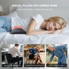 lewitools 3-in-1 Powered Lumbar Pillow with Airbag & Heat |
