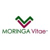 Aceite De Moringa Puro ARTESANAL Prensado En Frio 100 Mls