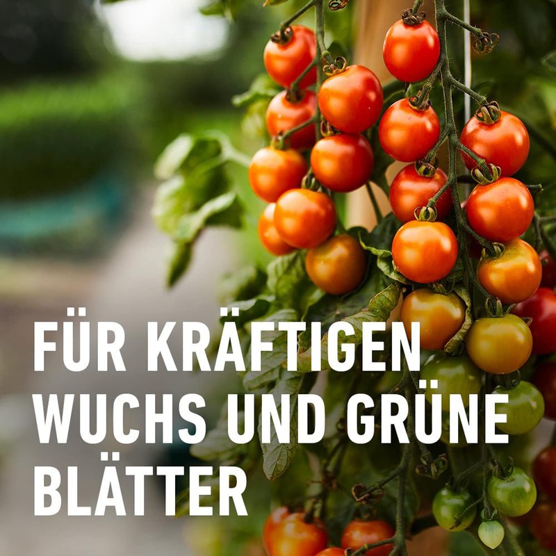 Compo Pilz-frei Revus 20ml