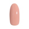 PRE GEL PG-CE924 Color Gel, Color EX, Glossy Skin, 0.1