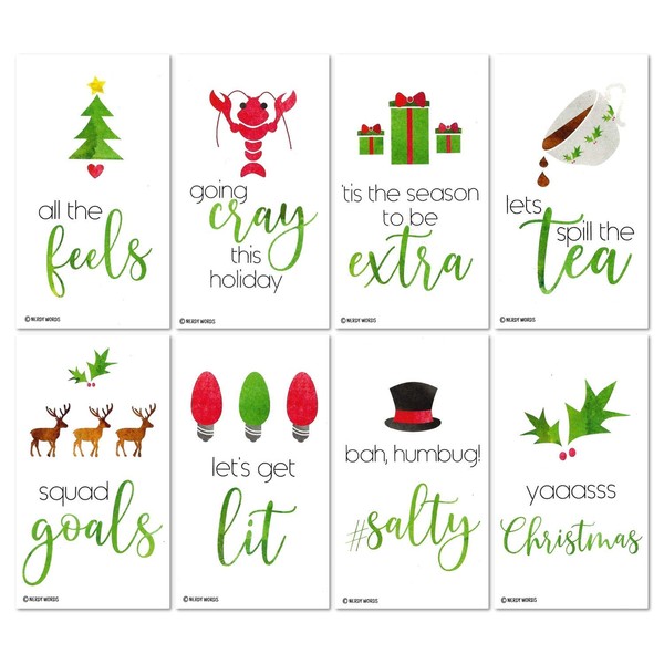 24 Funny Holiday Tags for Millennials (Wallet-Sized Cards) Plus Envelopes – Yaaasss Christmas, Let’s Get Lit, All The Feels, Squad Goals, Going Cray, Spill The Tea, Be Extra, Salty by Nerdy Words