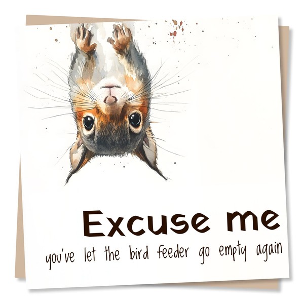 Funny Squirrel Happy Birthday Card - You Let The Bird