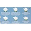 English Tea Shop Organic Your Wellness Collection Gift Pack -