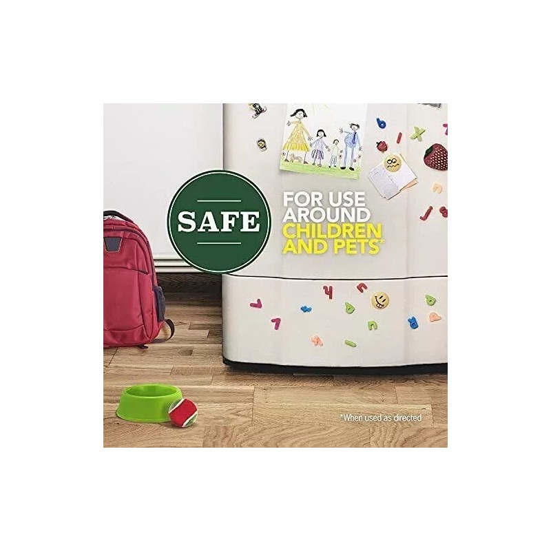 Raid 12 Raid Ant & Roach Killer Aerosol Spray Essential