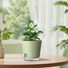 Homeuouz Set of 3 Self Watering Pots - 6 Inch