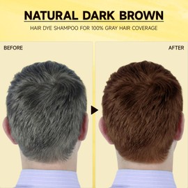 Dark Brown Hair Dye Shampoo for Gray Hair Coverage and Color Control - Herbal 3 in 1 for Men/Women, Ammonia-Free