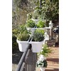 Apollo Exports International AP-30232/2 16" Double Sided Adjustable Railing Planter,