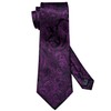 Barry.Wang Men's Silk Paisley Ties with Handkerchief Cufflink Tie Set