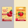 Burt's Bees Moisturizing Lip Balm, Strawberry, 0.15 Ounce