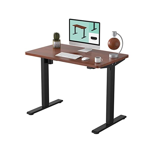FLEXISPOT EC1 Essential Electric Standing Desk Adjustable Height Small Desk