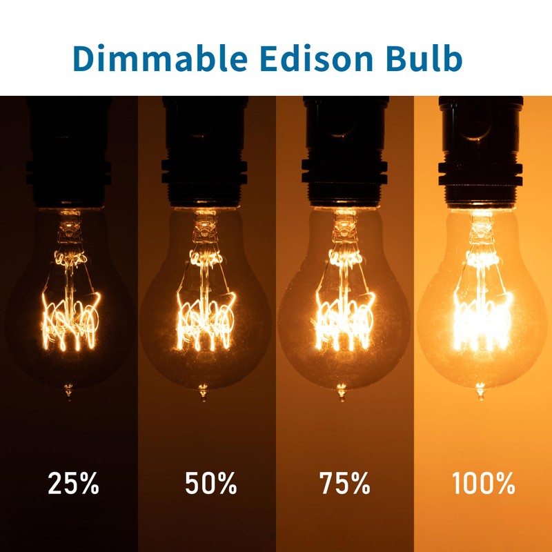 runquiz Warm Incandescent Light Bulbs 60 Watt,A19/A60 Vintage Style Edison