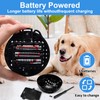 Moorstdel Interactive Dog Toy With Bouncing and Squeaking Ball, Washable