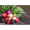 SeedsUP - 300+ Seeds Radish Rainbow Fast&Quick 25 Days -